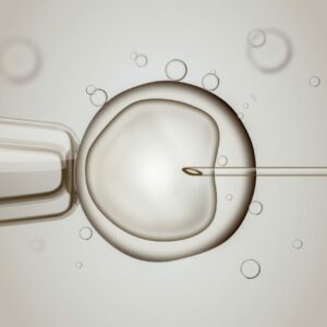 La Reproducción Humana