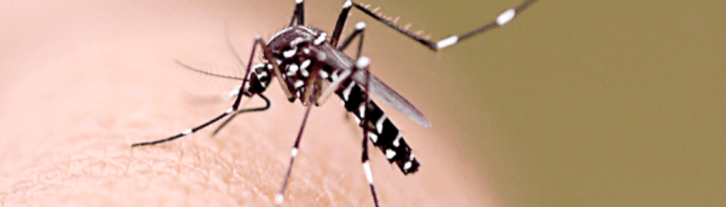 La SEF alerta del riesgo de la transmisión del zika en la compra de esperma por internet
