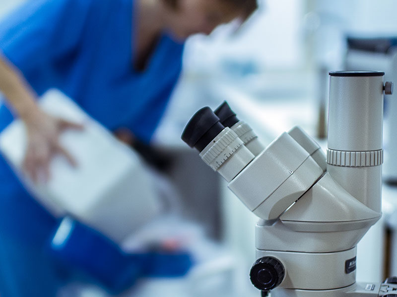 La UMH inaugura el XIII Ciclo de Conferencias “Controversias en Reproducción Asistida”