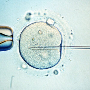 La Unidad de Fertilidad del Hospital Comarcal de Cabra tiene su actividad paralizada desde diciembre