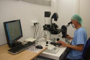 La Universidad de Murcia y el Instituto Murciano de la Fertilidad investigan para aumentar las tasas de embarazos