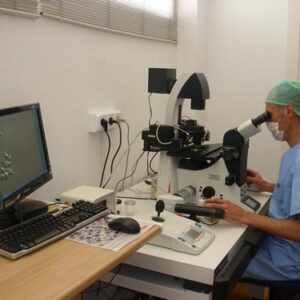 La Universidad de Murcia y el Instituto Murciano de la Fertilidad investigan para aumentar las tasas de embarazos