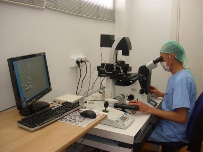 La Universidad de Murcia y el Instituto Murciano de la Fertilidad investigan para aumentar las tasas de embarazos
