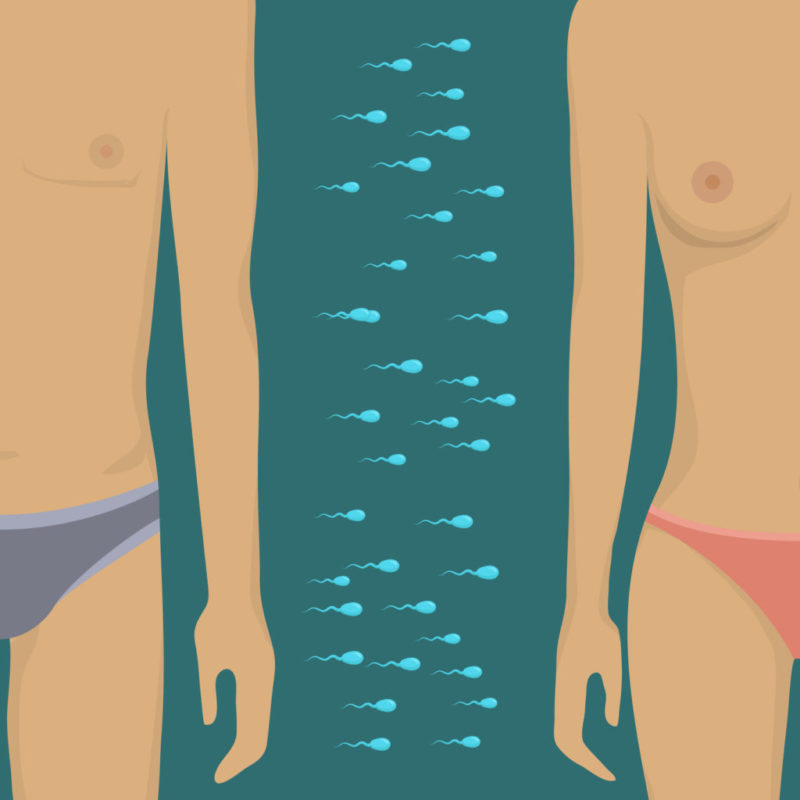 La calidad del esperma de los occidentales ha bajado a la mitad en 40 años
