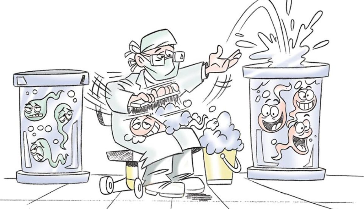 La cocina de Tambre (Diario de un embriólogo XVII)