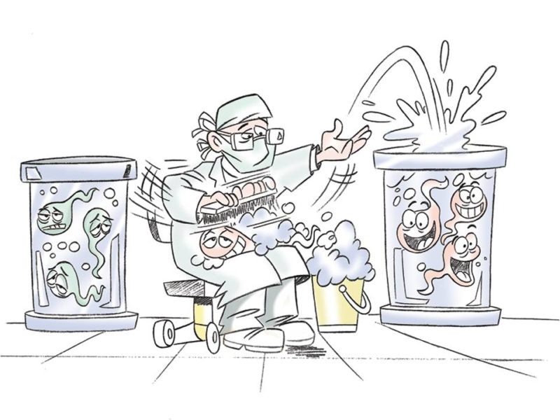 La cocina de Tambre (Diario de un embriólogo XVII)