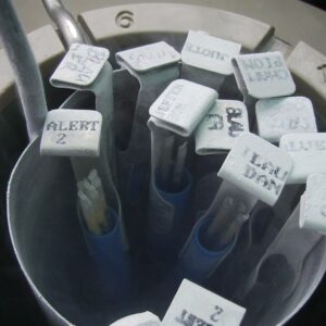 La congelación previa del embrión mejora los resultados de la implantación