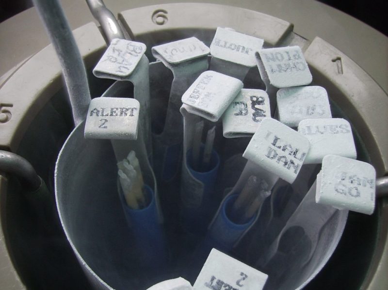 La congelación previa del embrión mejora los resultados de la implantación