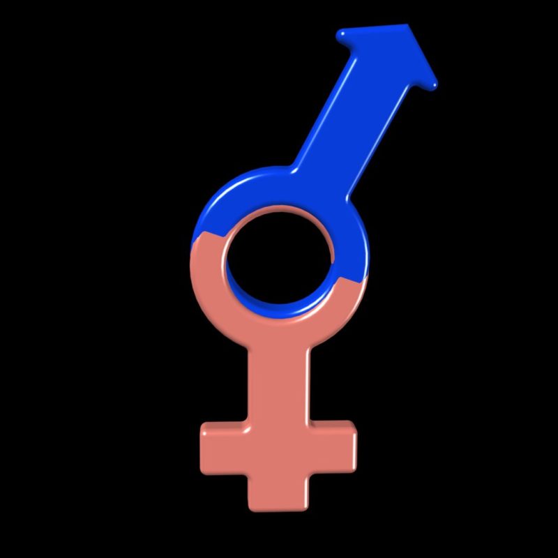 La coordinadora Girasol exige a los partidos políticos "defensa de los derechos conquistados" por el colectivo LGTB