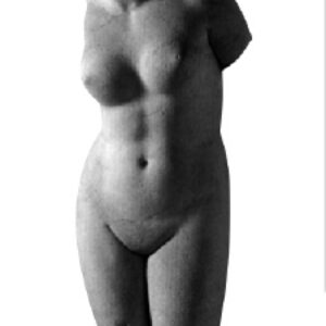 La endometriosis: definición La endometriosis: definición, tipos, causas, síntomas y relación con la esterilidad