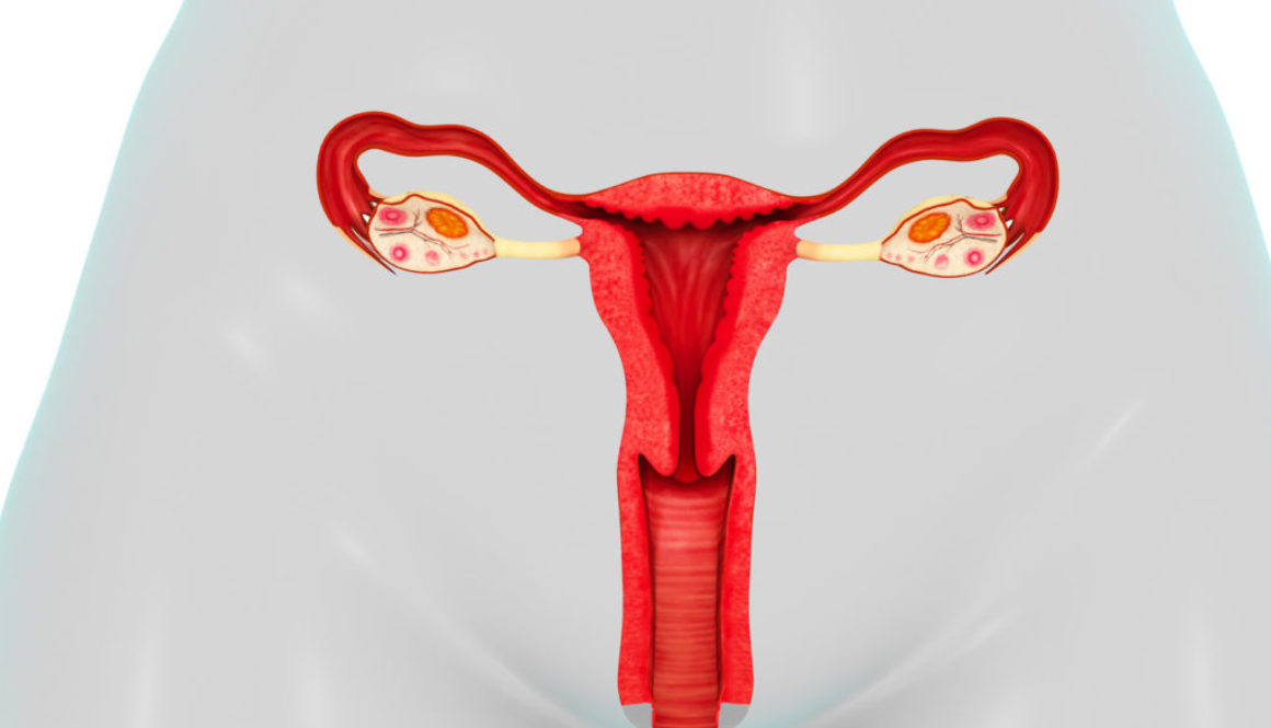 La estimulación ovárica: ¿Qué es? ¿Cuánto tiempo dura la fase?