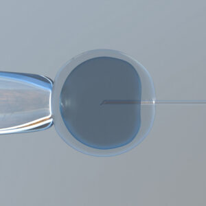 La fecundación in vitro (FIV) con dos madres, sometida a debate en Reino Unido