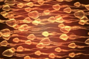 La fertilidad masculina ha empeorado en los últimos años