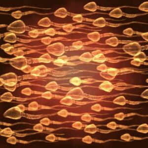 La fertilidad masculina ha empeorado en los últimos años