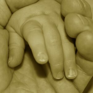 La historia de Roque