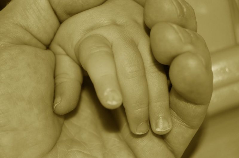 La historia de Roque