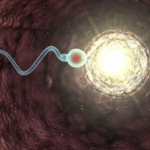 La infertilidad masculina, una realidad cada vez mayor