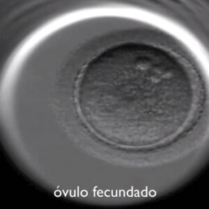 La música mejora la Fecundación In Vitro