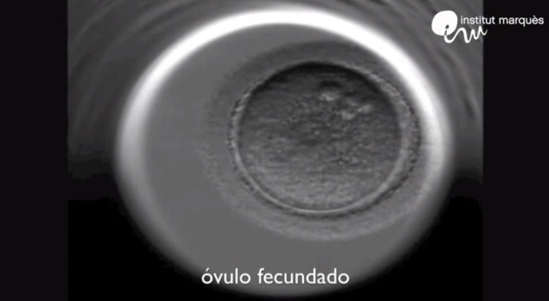 La música mejora la Fecundación In Vitro
