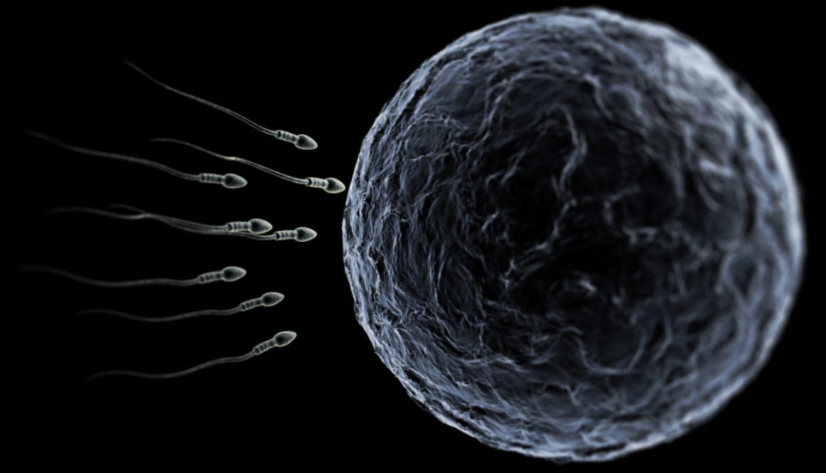 La mala calidad del semen se relaciona con la cantidad de tóxicos durante el embarazo.