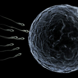 La mala calidad del semen se relaciona con la cantidad de tóxicos durante el embarazo.