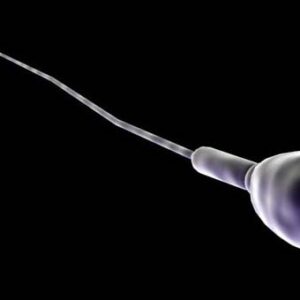 La mayor cantidad de espermatozoides aparecían en el semen producido en invierno.