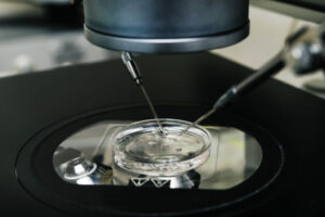La medicina reproductiva, analizada a fondo en Albacete