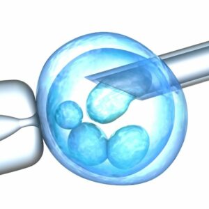 La obesidad reduce éxito de la fecundación in vitro