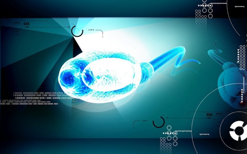 La sanidad pública 'suspende' en reproducción asistida