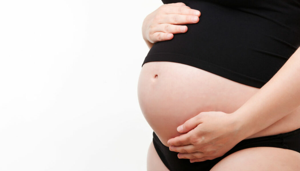 Las Embarazadas Varían La Genética De Su Futuro Hijo Incluso Si El Óvulo Es Donado