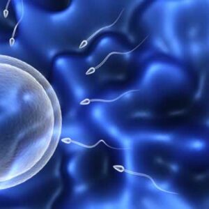 Las grasas saturadas disminuye en un 41% el número de espermatozoides