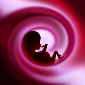 Las mujeres irlandesas son las más fértiles del último medio siglo