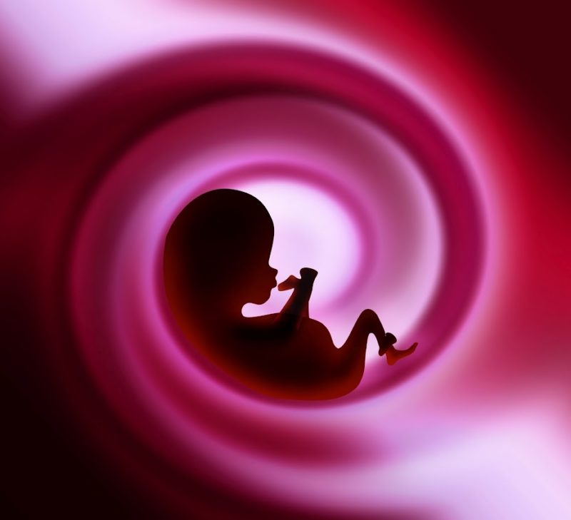 Las mujeres irlandesas son las más fértiles del último medio siglo