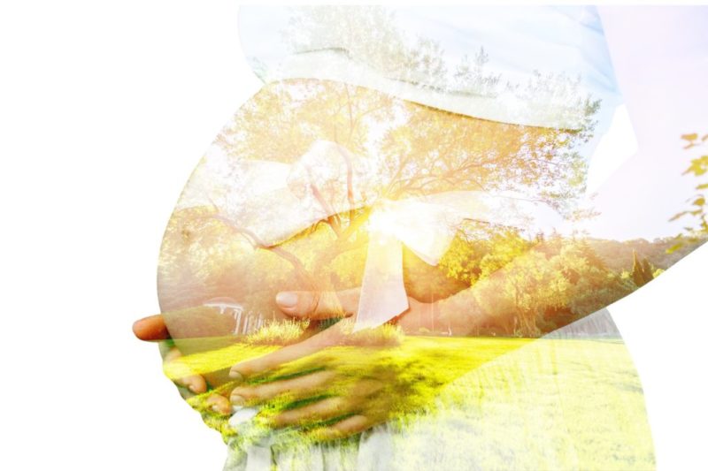 Las nuevas "cigüeñas"