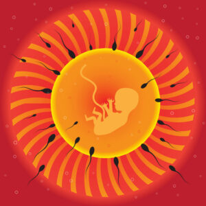 Logran anticipar si el esperma servirá para la fertilización.