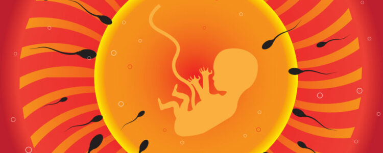 Logran anticipar si el esperma servirá  para la fertilización.