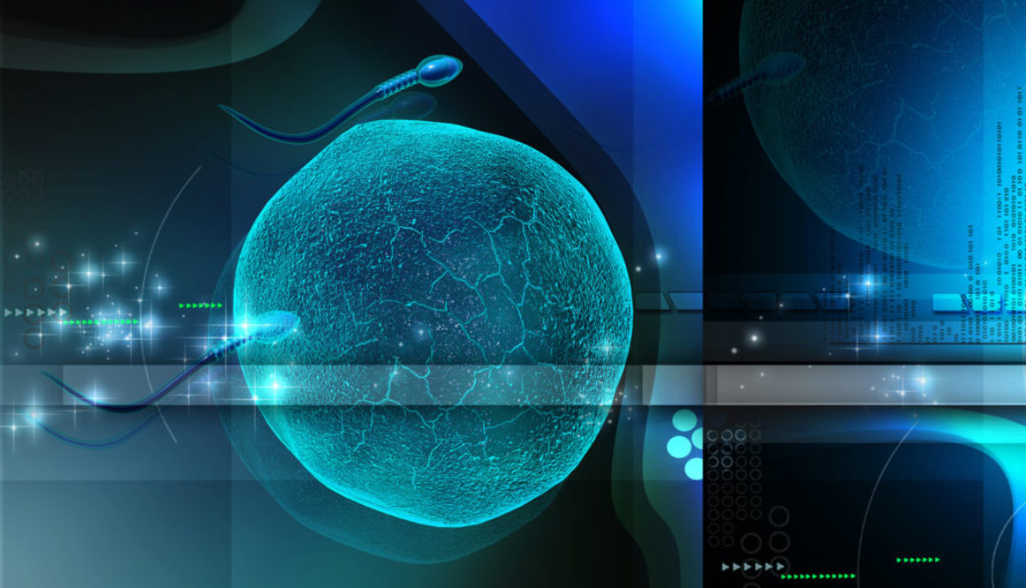 Los 34 del incubador cinematográfico