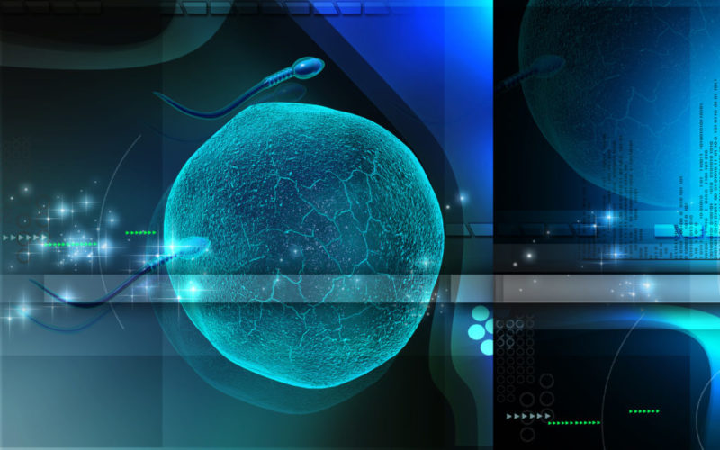 Los 34 del incubador cinematográfico