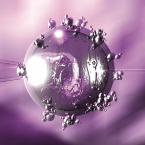 Los embriones congelados, nuevo caballo de batalla en los divorciados