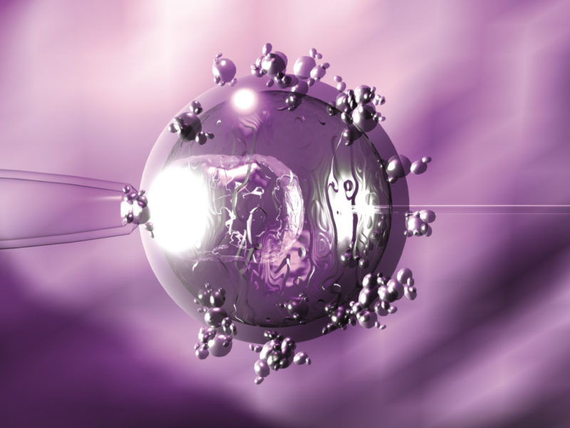 Los embriones congelados