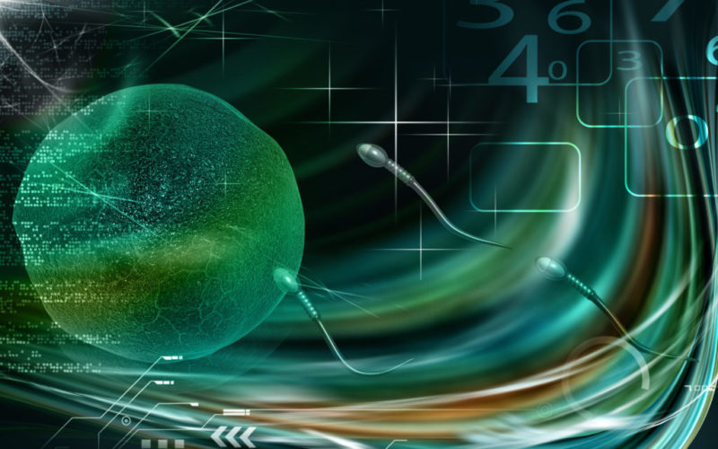 Los embriones de " tres padres " reciben la aprobación ética