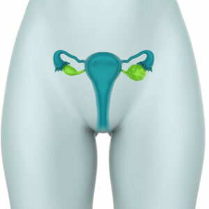 Los pólipos endometriales: Síntomas,diagnóstico y tratamientos