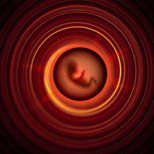 Los primeros bebés INVO nacen y sonríen en Cochabamba