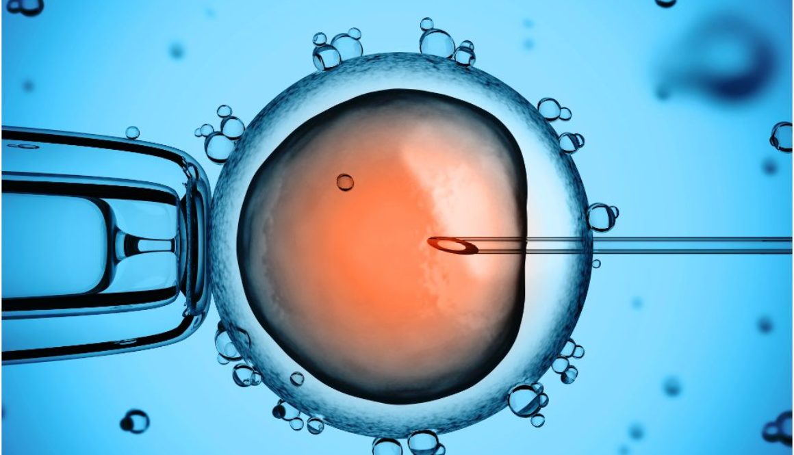 Más fondos para la investigación de células madre de la sangre del cordón