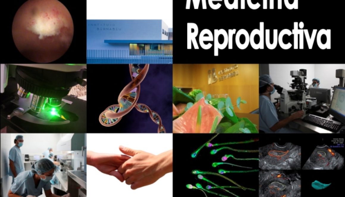 Máster Universitario en Medicina Reproductiva del Instituto Bernabeu y la Universidad de Alicante