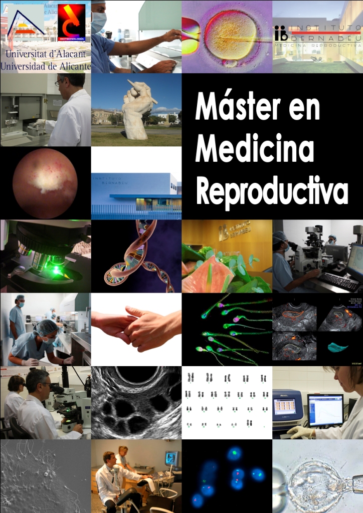 Máster Universitario en Medicina Reproductiva del Instituto Bernabeu y la Universidad de Alicante