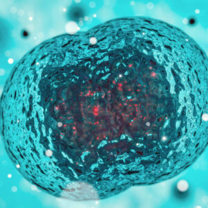 Madres con ovulo donado modifican el embrion