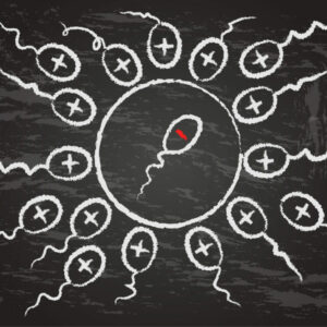 Microinyección de espermatozoides morfológicamente seleccionados