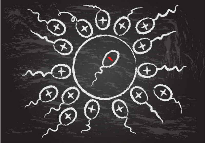 Microinyección de espermatozoides morfológicamente seleccionados