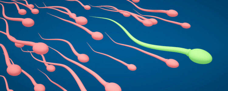 Mitad de parejas con infertilidad logran tener un hijo, según un estudio